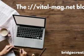 the ://vital-mag.net blog