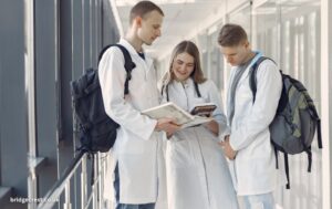 Bachelor’s Degree in Public Health