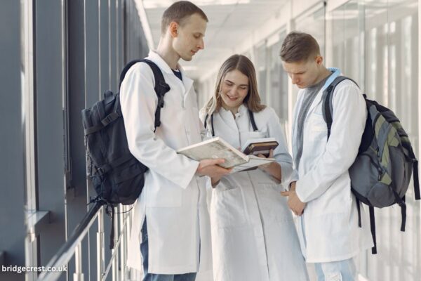 Bachelor’s Degree in Public Health