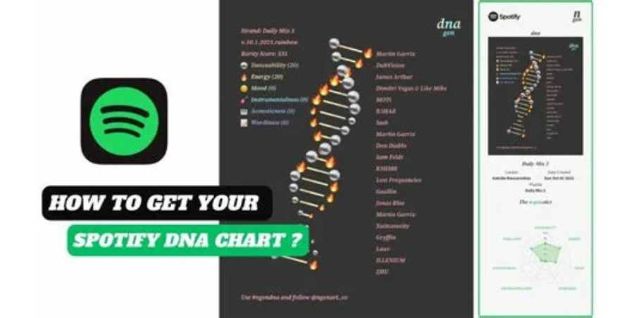 Spotify DNA