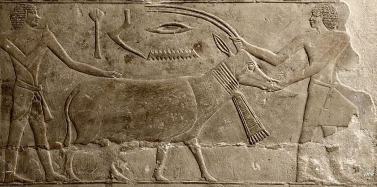 Discovering Ancient artz: The Legacy of Early Civilizations