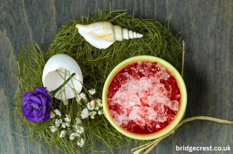 Calamariere: The Elegant Journey of a Forgotten Culinary Gem