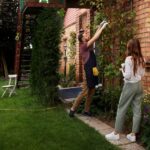 Landscaping and Painting
