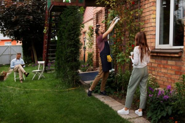 Landscaping and Painting