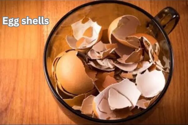 health benefits of egg shells