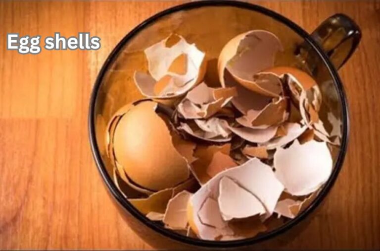 Health benefits of egg shells: Discover the Powerful Benefits of This Kitchen Waste
