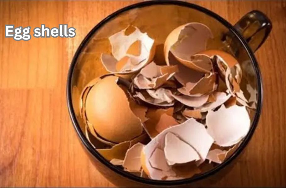 health benefits of egg shells