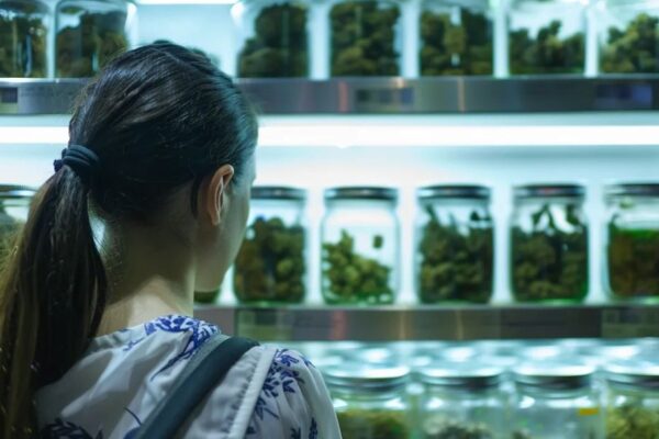 Cannabis