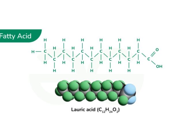 Fatty Acid