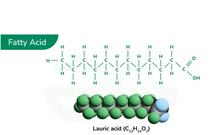 Fatty Acid