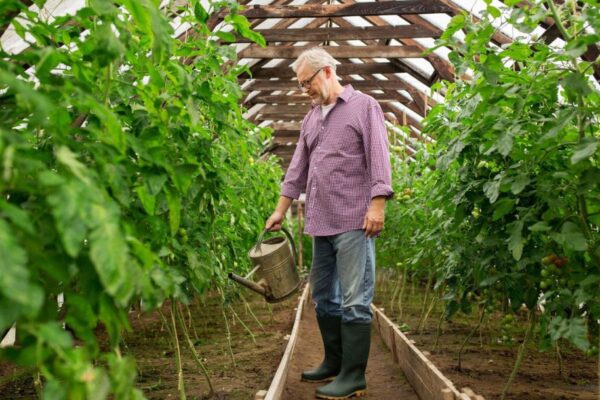 A Peaceful Escape for Seniors: Exploring Animals and Green Spaces Seniors