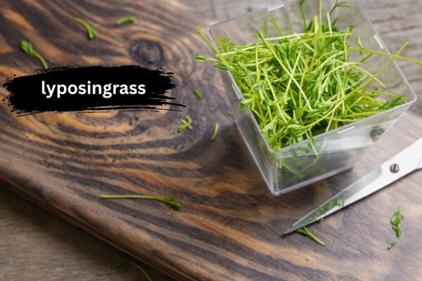 lyposingrass