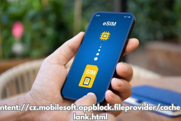 Content://cz.mobilesoft.appblock.fileprovider/cache/blank.html