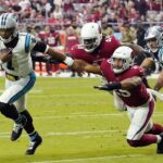 Arizona Cardinals vs Carolina Panthers Match Player Stats