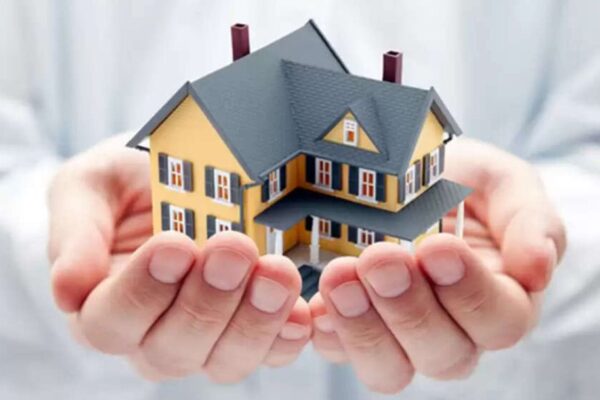 Pigeimmo: Transforming the Real Estate Market with Digital Innovation pigeimmo