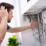 Mold