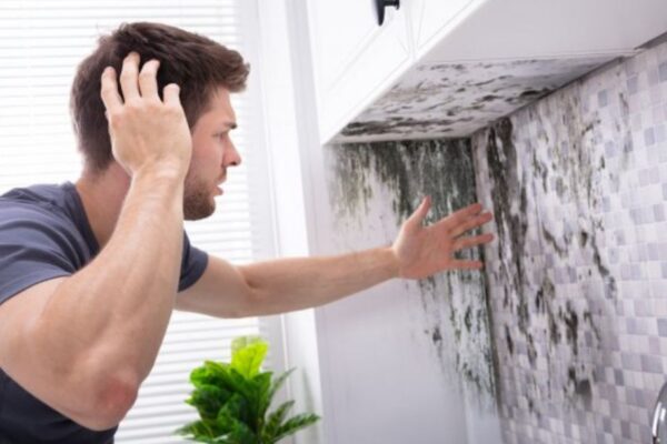 How Mold Grows—and What You Can Do About It Mold