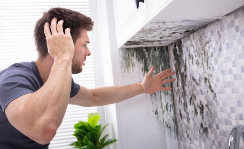 Mold