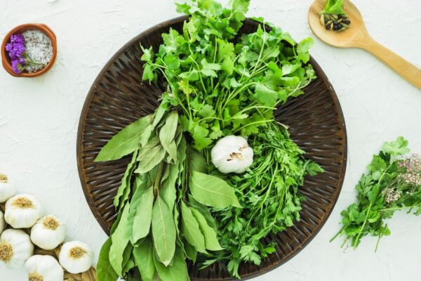 Koriandri: The Timeless Herb That Balances Flavor and Health koriandri