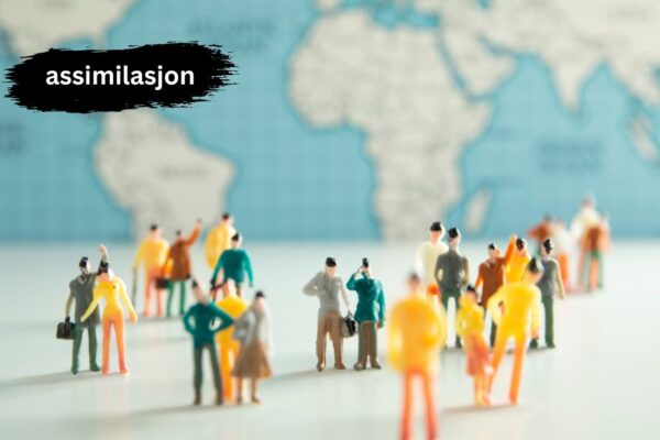 assimilasjon