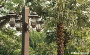 oil palm waste used lamp project