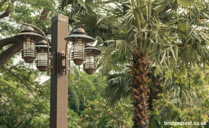 oil palm waste used lamp project