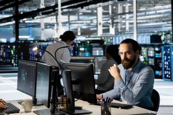 Professional IT Services