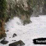 tsunaihaiya