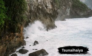 tsunaihaiya