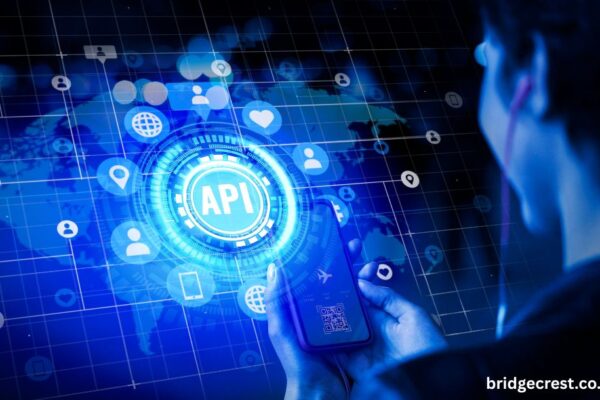 best api search company's homepage