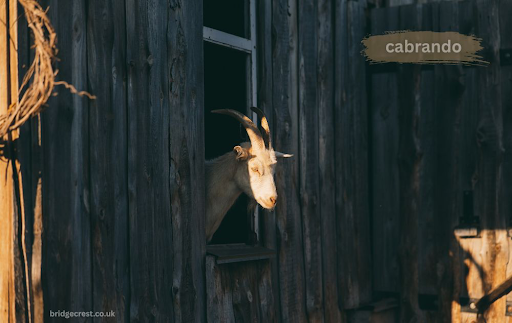 Cabrando