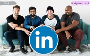 Libnk Professional Networking Platform