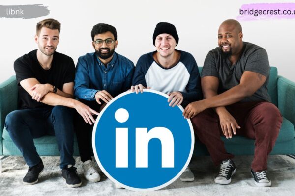 Libnk Professional Networking Platform