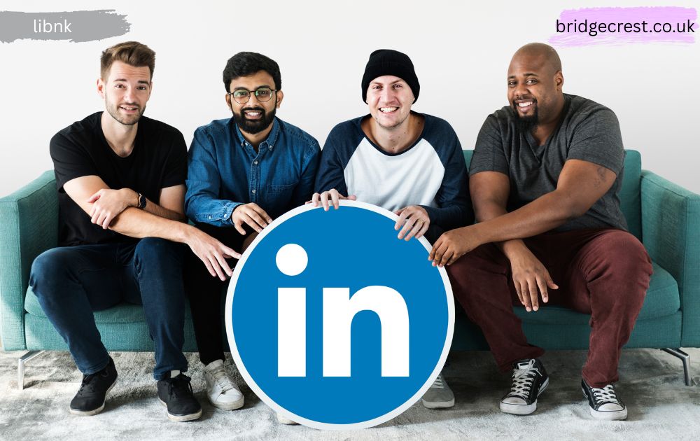 Libnk Professional Networking Platform